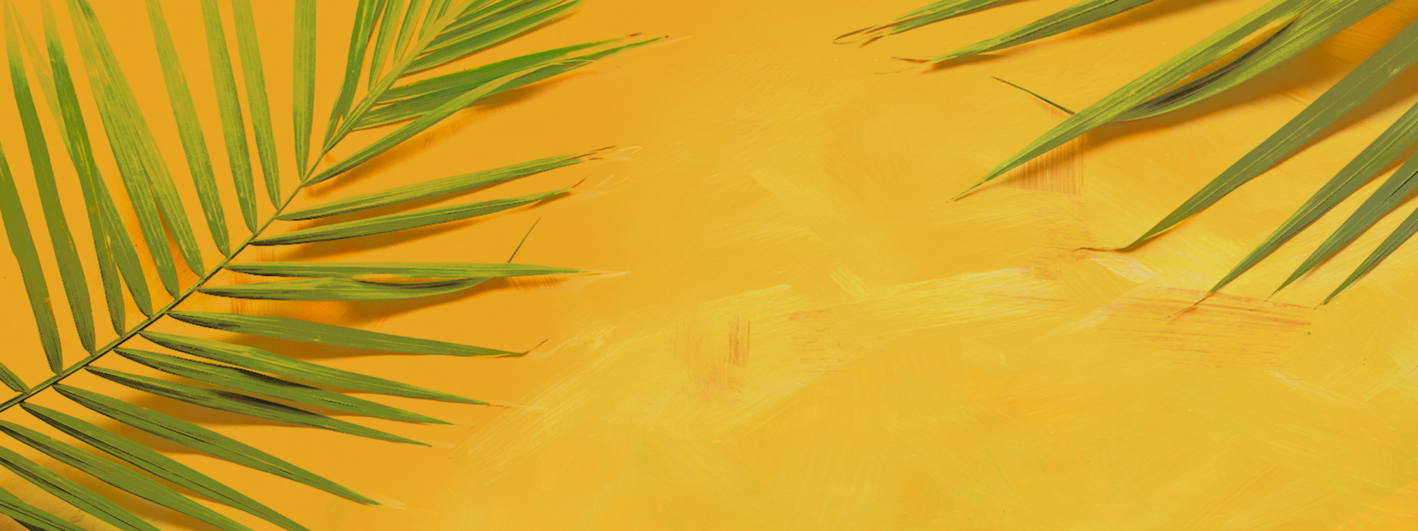 Easter*Join us as we journey through Lent towards the glory of Easter Day* Details of Service here